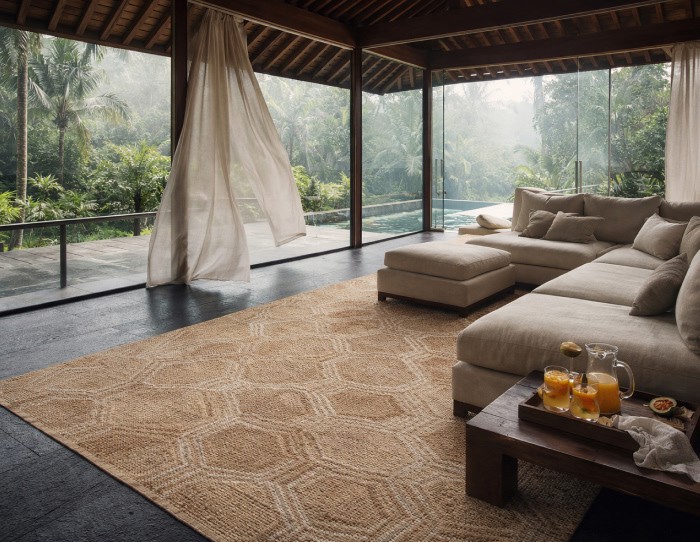Sunroom Rugs